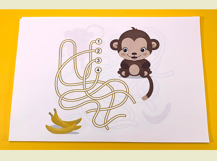 视知觉训练视觉追踪训练图视知觉桌面感统训练视觉辨别追视能力22张b5