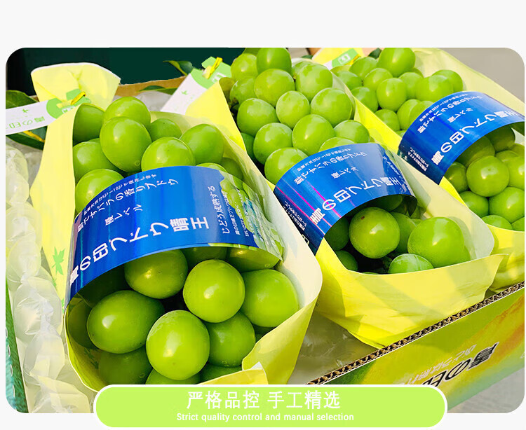 云南香印青提礼盒装阳光玫瑰香晴王葡萄新鲜水果提子