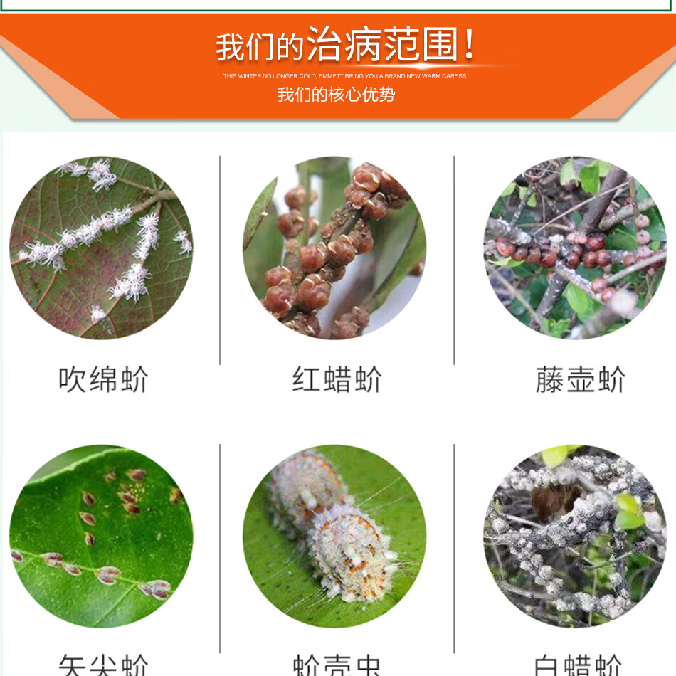 蚧壳虫专用药蚧必治果树多肉花卉通用吡虫噻嗪酮农药杀虫剂送助剂 30g