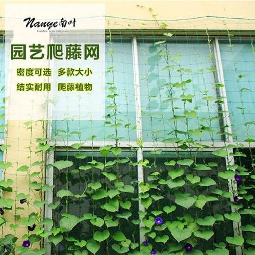 琛艺植物藤网种植爬藤网植物攀爬网家用蔬瓜果网种黄瓜百香果园艺菜藤