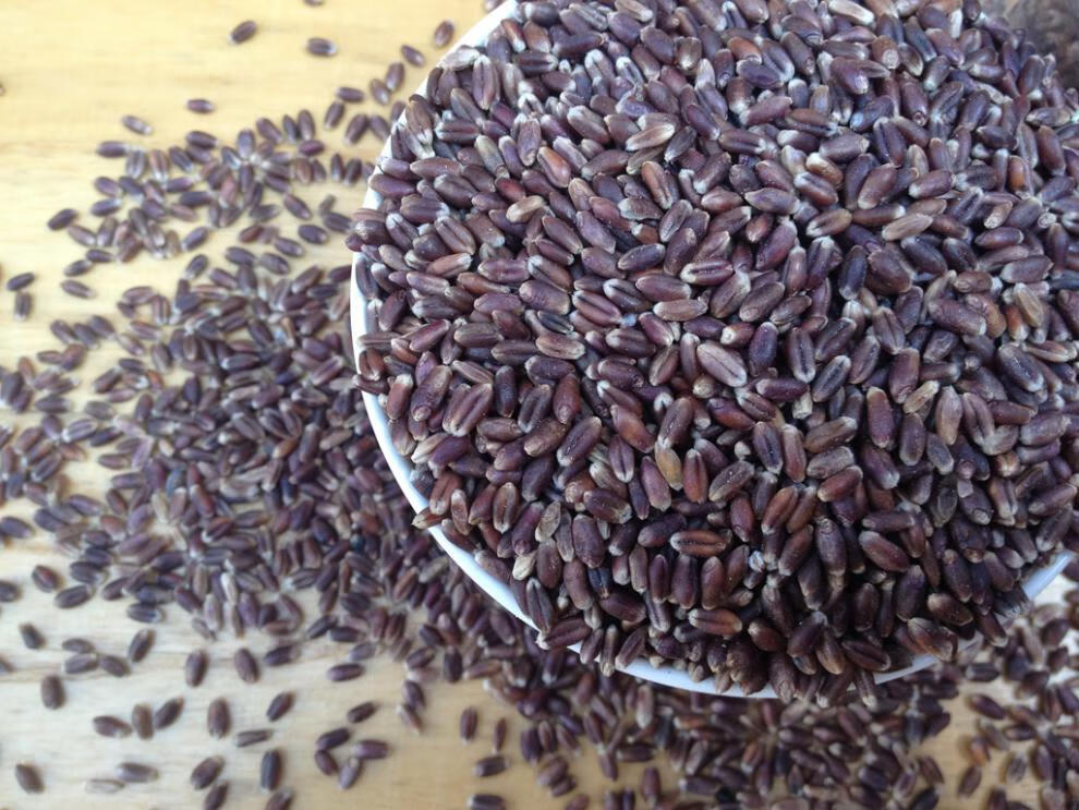 赣香婆 【黑小麦粒】 农家富硒 黑麦带皮小麦米颗粒500g食用杂粮散装