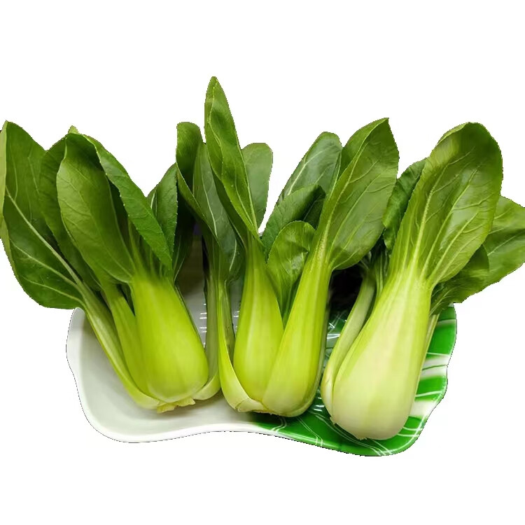 新鲜小青菜蔬菜新鲜上海青时令蔬菜农家蔬菜油菜 5斤【图片 价格 品牌