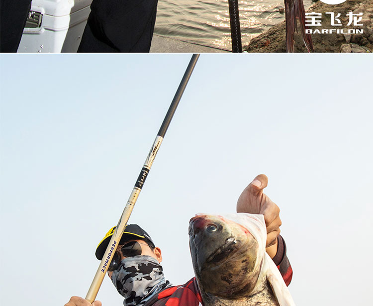 宝飞龙鱼竿龙飞斩黑坑竿19调鲫鲤鱼竿轻硬飞抢鱼台钓竿手竿 7h4.