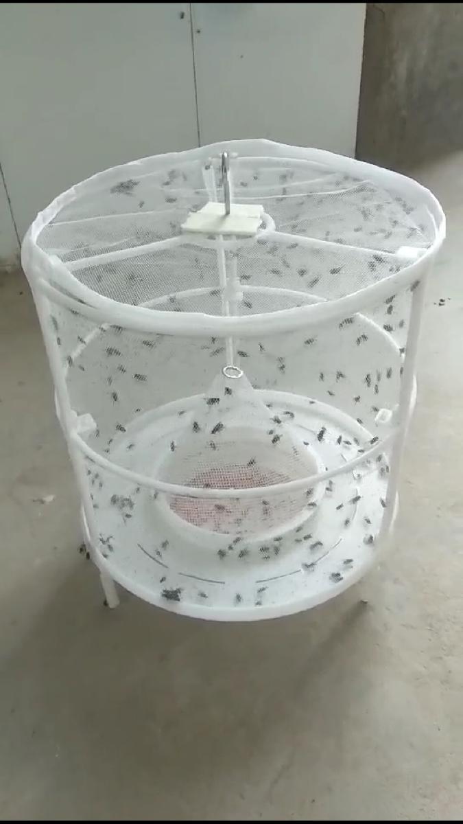 苍蝇笼灭蝇神器环保蝇笼家用农场专用苍蝇神器一扫光定制家恒宝 网状