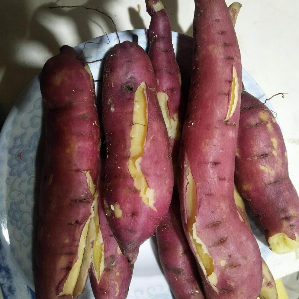 陕西 临潼板栗薯 红薯 粉糯香甜 新鲜板栗薯 陕西板栗薯9斤【图片