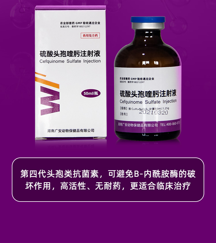 硫酸头孢喹肟注射液兽药猪黄白痢胸膜肺炎副猪链球菌抗菌消炎细菌