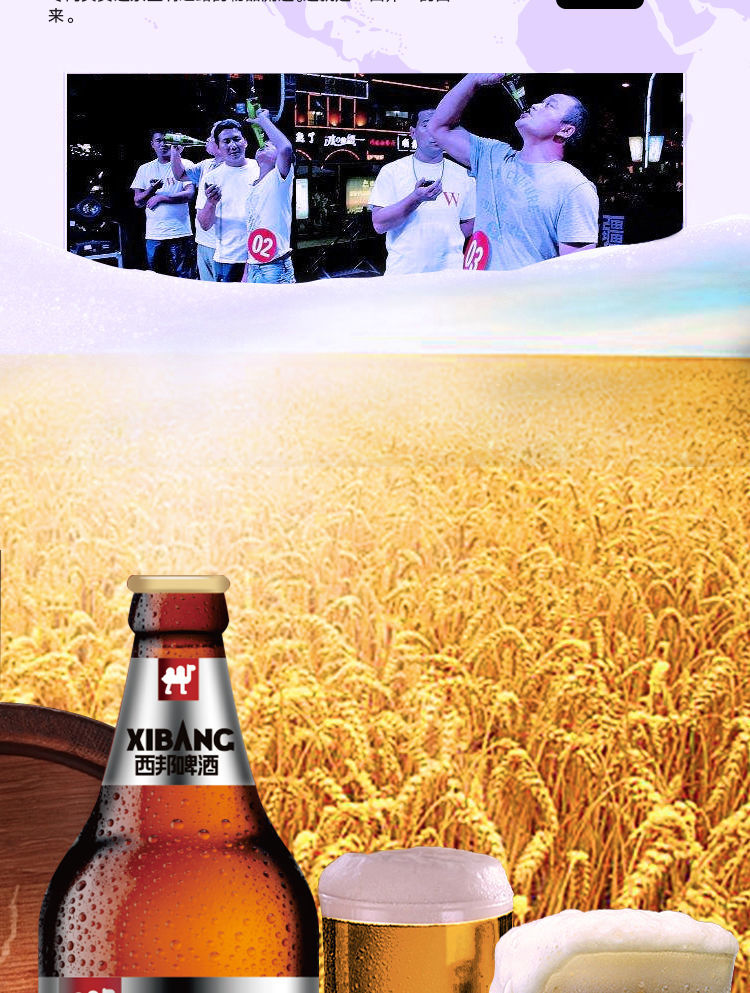 西邦啤酒新疆西邦啤酒国产高浓度阿娜尔汗口感浓郁精酿预售 500*6
