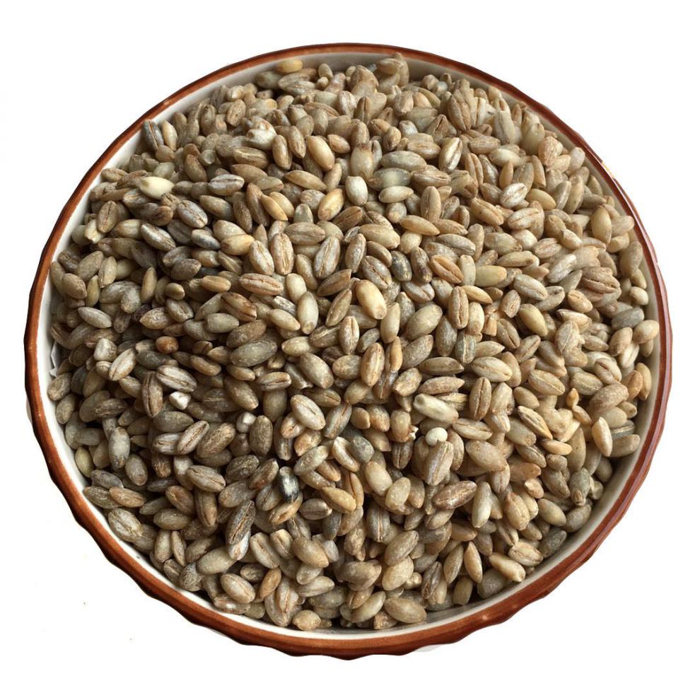 青稞米1斤5斤青藏高原蓝青稞米青海特产五谷杂粮新鲜粗粮蓝青稞 青稞