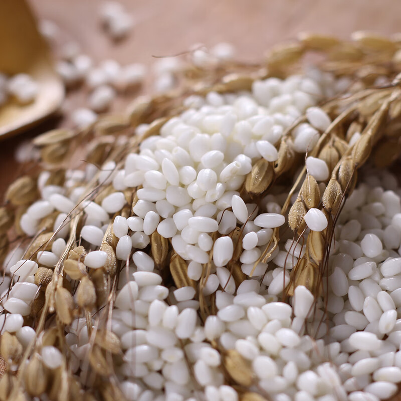 云南新鲜圆粒白糯米珍珠糯米2斤食用纯糯粘米江米酿酒包粽子新米