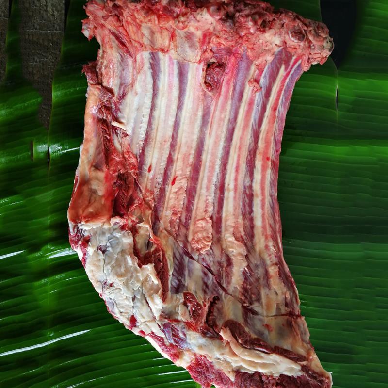 【精品冷运】新鲜牛排骨 肋排黄牛排 牛小排生鲜牛排骨批发农家现杀生