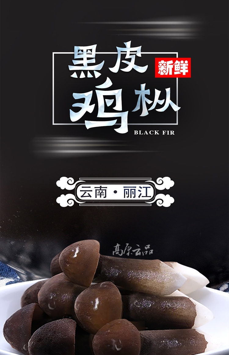 【新鲜空运】黑皮鸡枞菌云南丽江深山野生鲜菌菇出口级精品 2000g