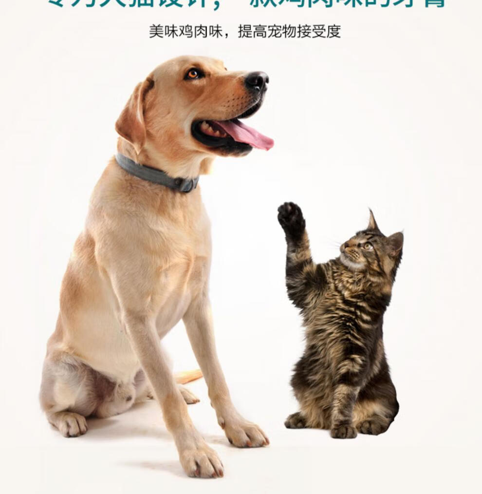 带防伪维克宠物牙膏套装可食用法国进口牙刷猫狗用当天发货白色