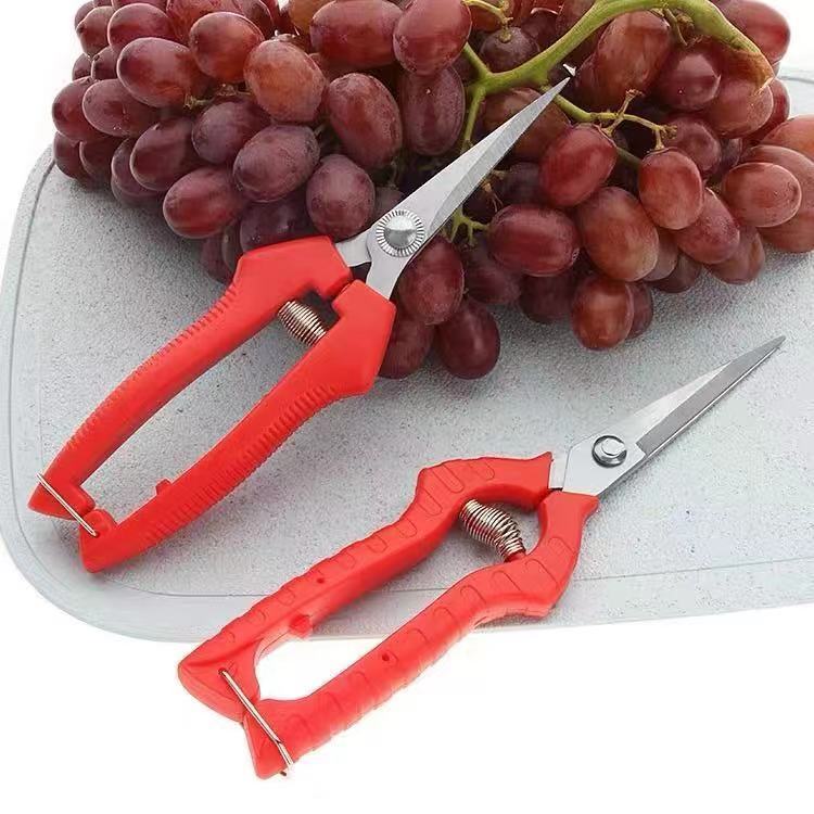 水果采摘剪刀葡萄采果剪稀果疏花剪修剪柑橘子 蔬果采摘摘果剪刀 果剪