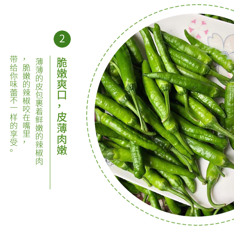 湖南本地樟树辣椒新鲜港辣椒新鲜蔬菜辣微辣青辣椒尖椒 1000g【图片