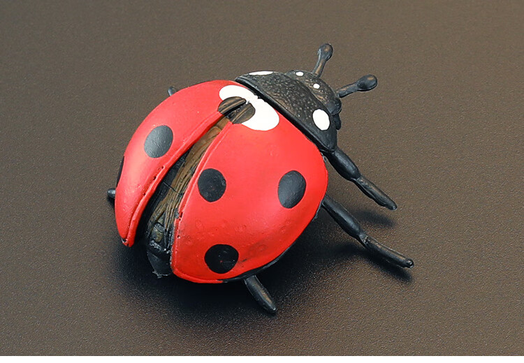 实心儿童仿真昆虫模型套装玩具七星瓢虫金龟子花大姐认知礼品摆件