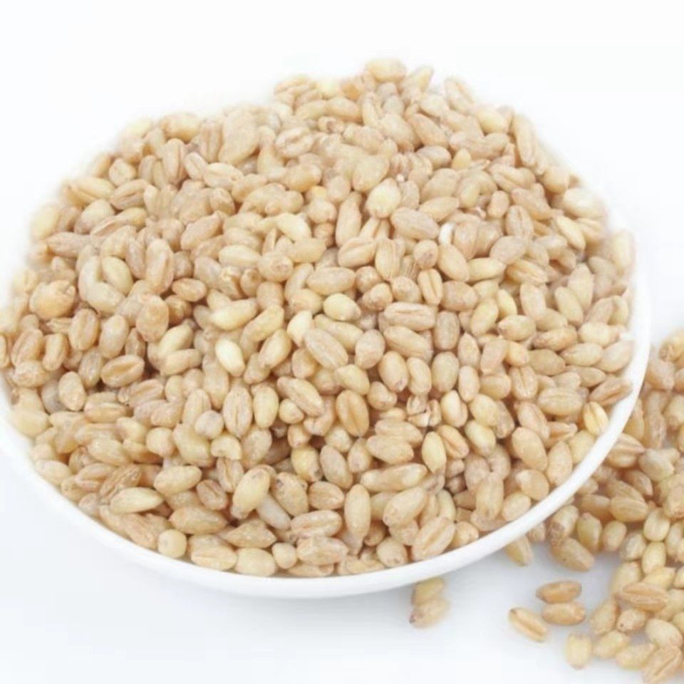 精选麦仁熬粥煮饭精选脱皮麦仁米颗粒饱满农家麦仁自产自销 真空包装.