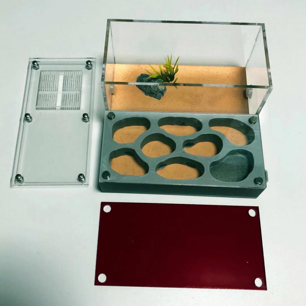 螞蟻工坊螞蟻城堡生態箱 繁殖版超大號3d巢平面巢系列 亞克力巢 螞蟻