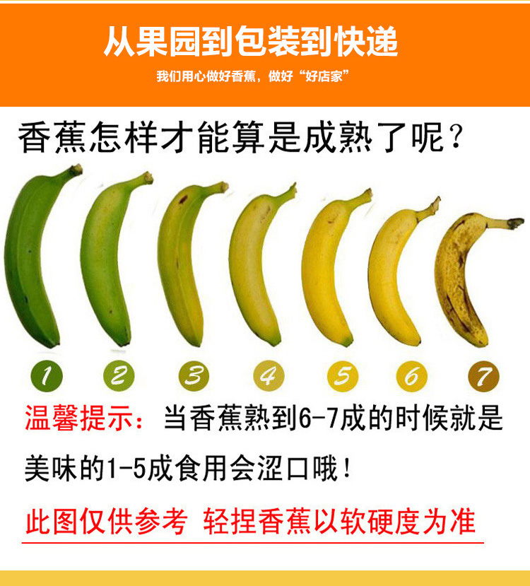 云南新鲜高山青香蕉大香蕉热带水果自然熟芭蕉 10斤