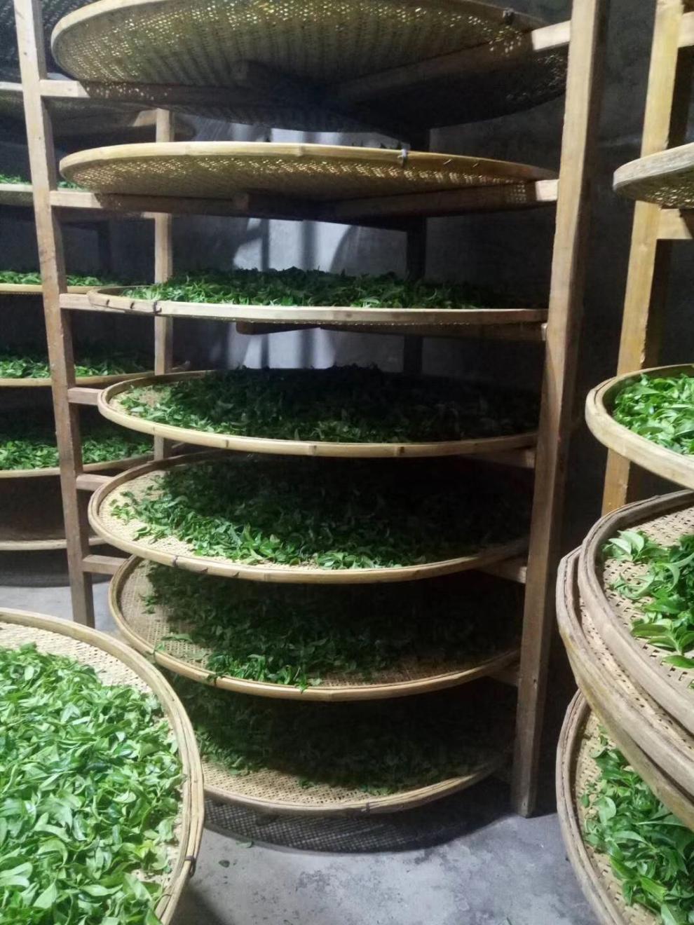 凤凰单丛茶蜜兰香单枞茶浓香型高山茶潮州凤凰单从乌龙茶 250克浓香