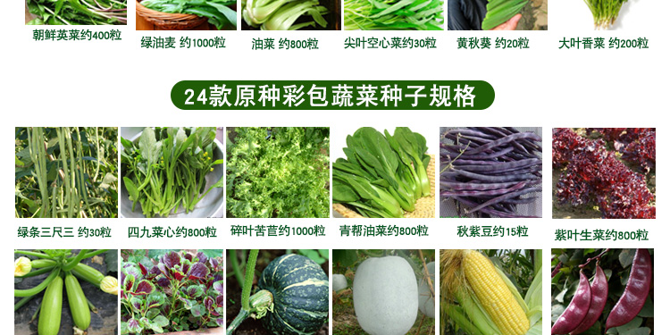 家庭四季蔬菜种子套餐各种常种蔬菜大全菜种子家庭菜籽四季种植30款