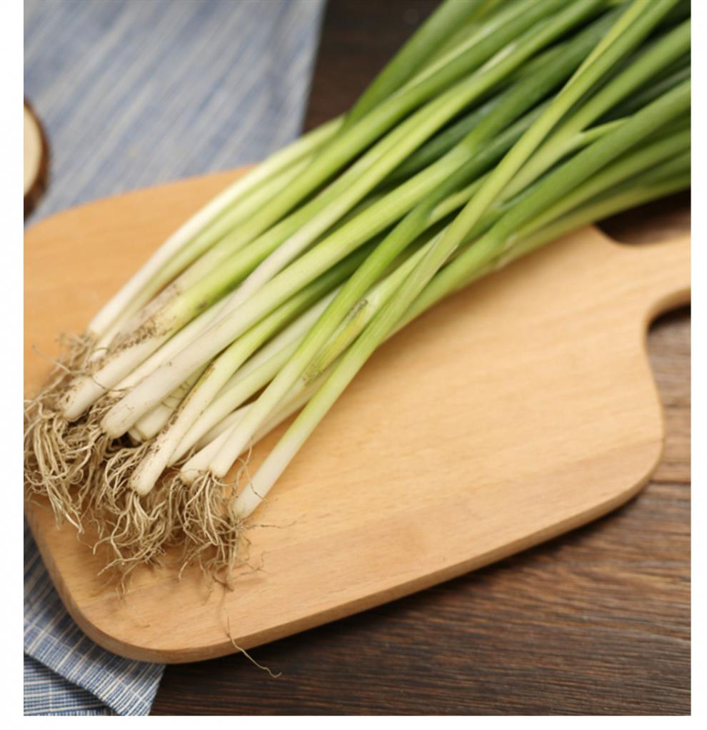 东北小葱新鲜 农家自种现摘蔬菜嫩发芽葱白露葱香葱蘸酱菜 2000g