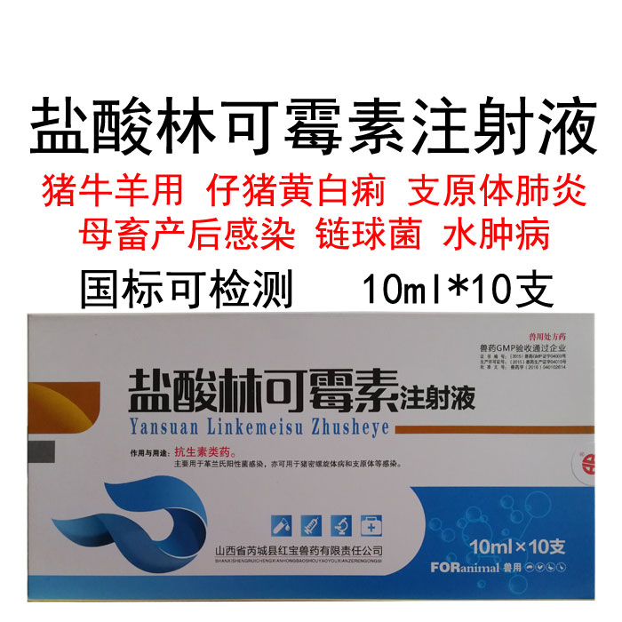 獸藥獸用鹽酸林可黴素注射液豬牛羊痢疾黃白痢支原體肺炎產後感染100