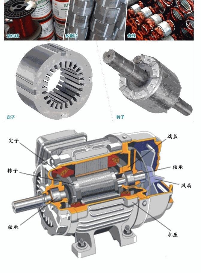 电动机内部结构图图片