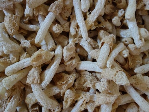 【优选】竹荪竹笙天然熏菇蕾干货特产肉厚蘑菇菌: 毛重250g【图片