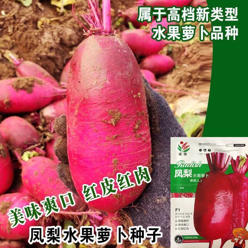 ed4b8a6d338836ae.jpg
