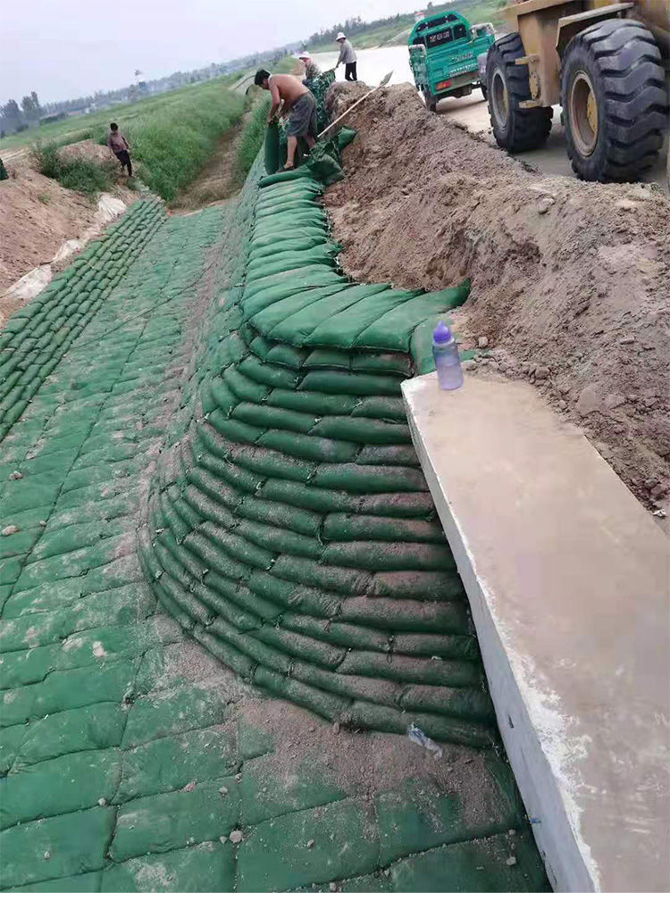 生态袋绿色工程护坡防护袋绿化河道边坡固土植生袋防汛袋 40*80cm(100