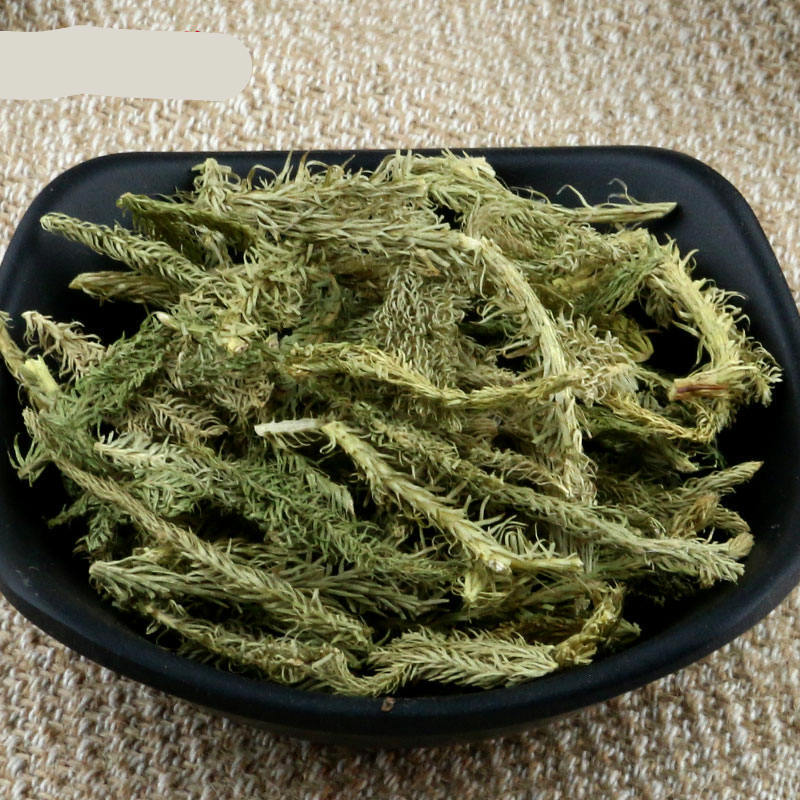 伟博伸筋草500克g中药材河北石松狮子草狮子尾大伸筋草伸筋草500克