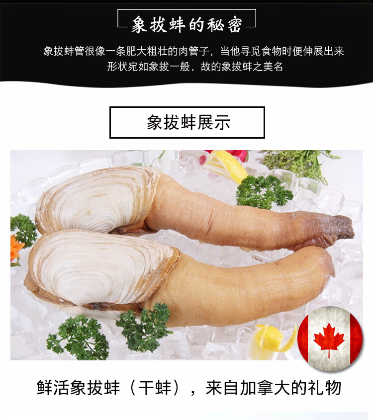 cfa6a5acf2c41f3d.jpg