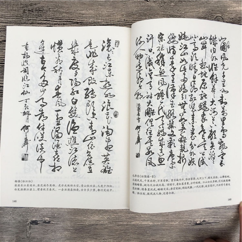 怎樣寫草書行書隸書楷書何大齊毛筆字帖成人學生練字貼唐詩千字文