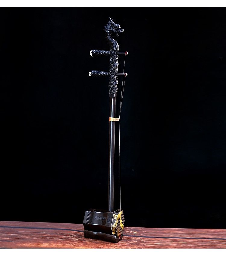 大音量木二胡乐器初学者入门成人儿童演奏琴二泉胡