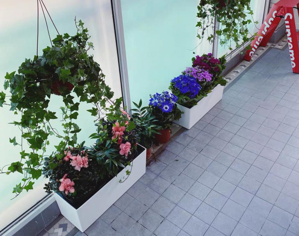 挂墙花盆阳台花盆挂架壁挂栏杆悬挂式花箱护围栏装饰挂墙自吸水长方形