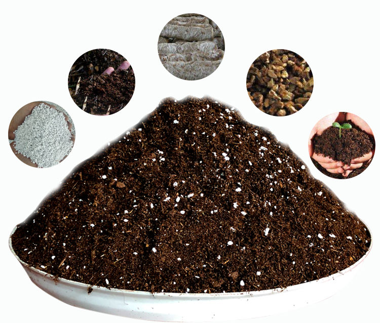 阳台种菜专用土有机营养土100斤蔬菜通用型家用养花肥土泥巴土壤30斤