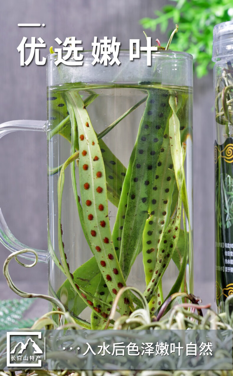 辉导 肾精茶长白山肾精草野生化石草 石苇茶 东北石韦草男性50g特产