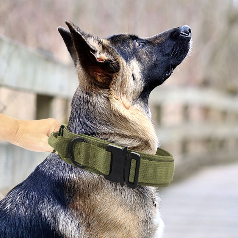 戰術項圈尼龍狗項圈寵物戶外狗狗牽引繩大中型犬軍犬訓練戰術狗帶黑色