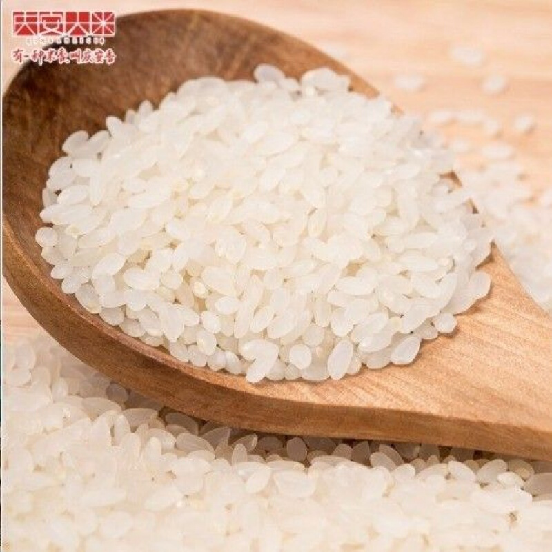 纯正东北大米 黑龙江庆安新米 圆粒香 米基地直发 5斤圆粒香【图片