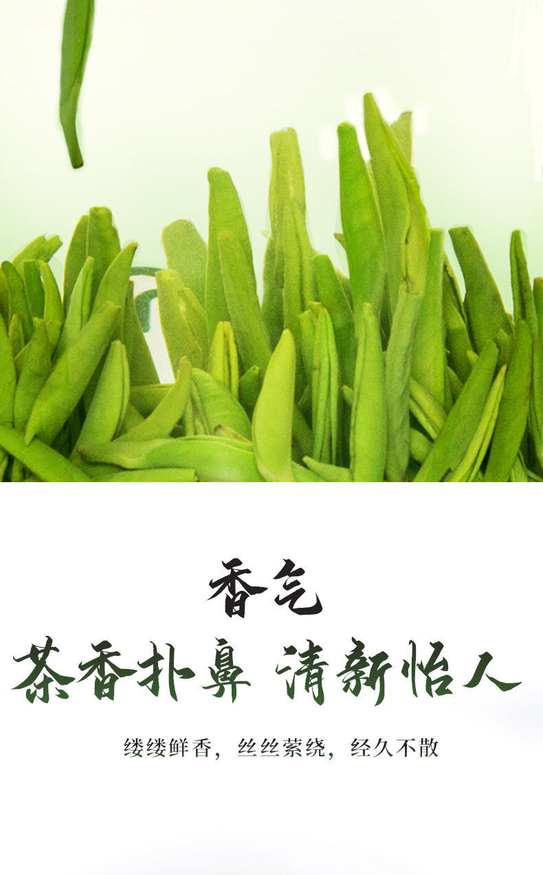 2021恩施富硒贡芽雀舌新茶上市250g 铁盒装【250g】