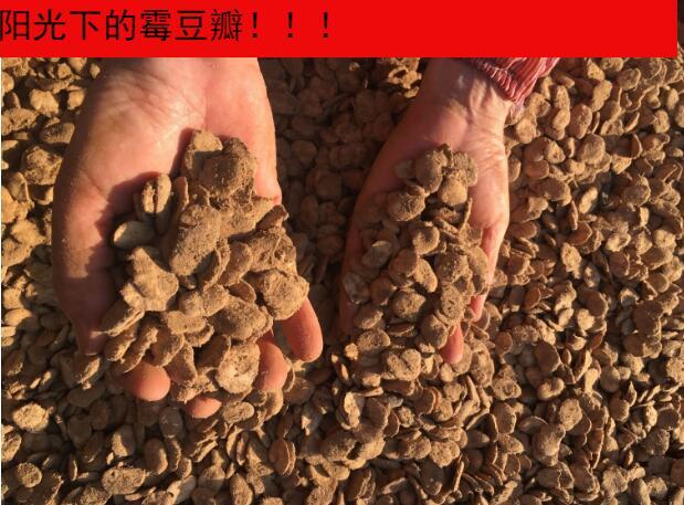 自然发酵霉豆瓣干胡豆瓣霉豆子四川郫县豆瓣酱酱油原料发酵豌豆瓣3斤