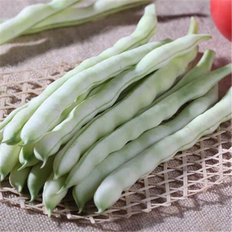 东北白豆角顺丰发货白不老豆角新鲜芸豆四季豆白架豆蔬菜2斤