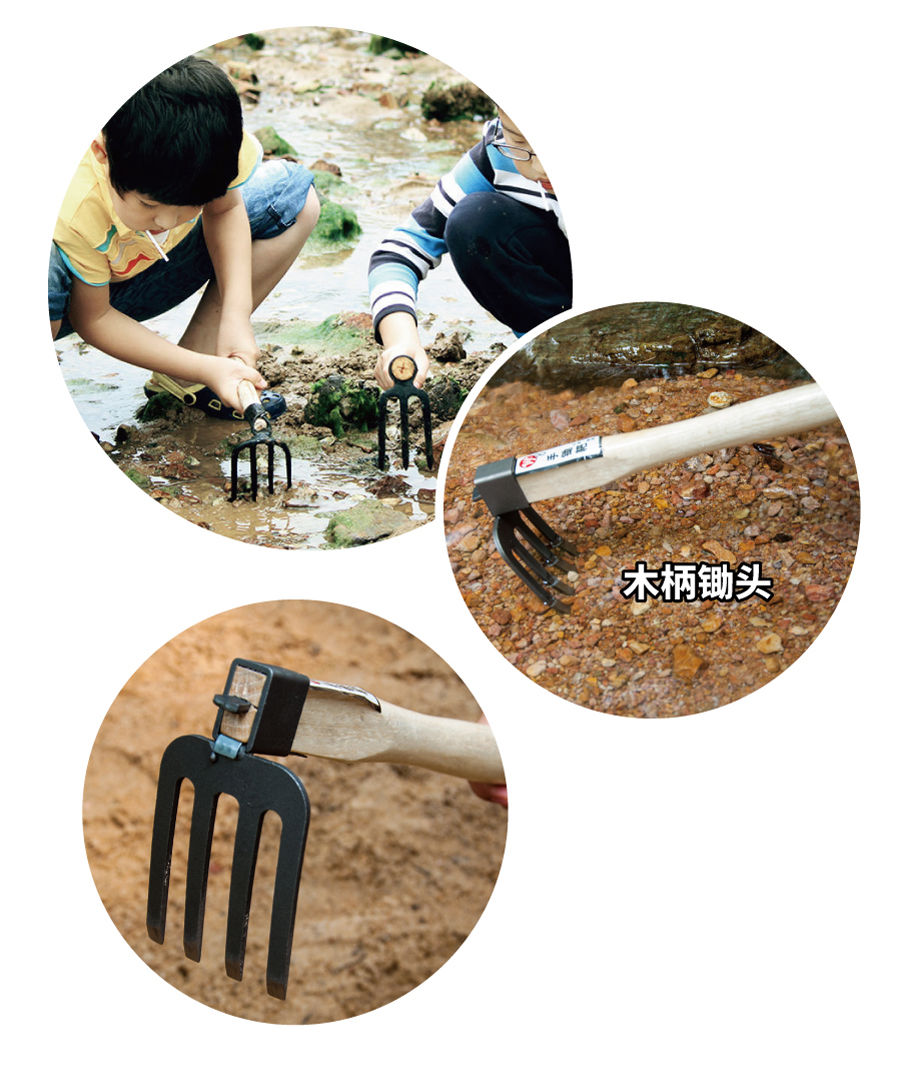 蛤蜊子沙滩挖蛤贝壳海鲜蛏子蚬子螺神器海蛎子钩 原色四齿尖耙(锻打)