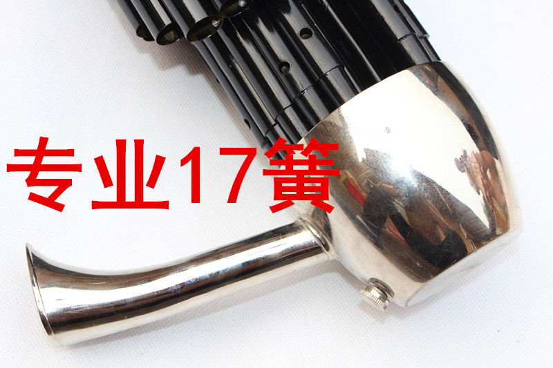 京盈樂器17簧擴音笙樂器帶修笙用品笙包17簧紫竹笙配包要什麼調留言