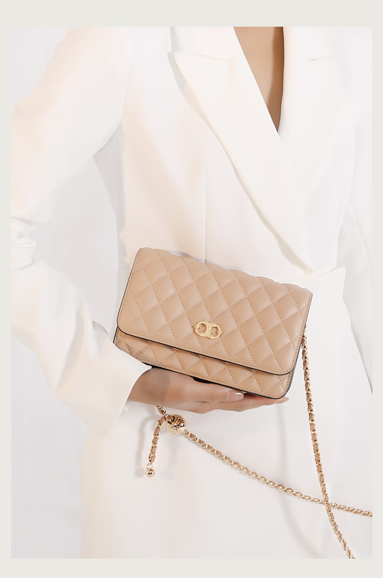 dilaks迪莱克丝女包 包包女斜挎包女包2022新款感链条包小包同款 黑色