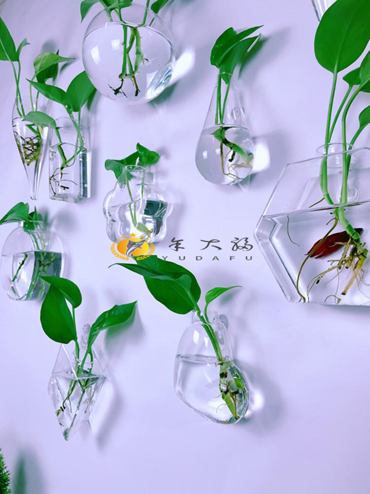 壁挂花盆创意墙上挂壁挂墙花盆绿萝墙壁挂件悬挂式水培玻璃花瓶墙面