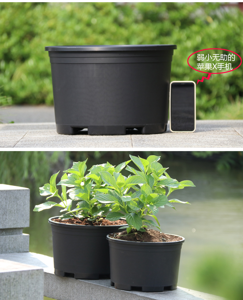 特大花盆大口径黑加仑盆栽花盆加厚黑色矮胖加仑花盆塑料绿萝月季38cm