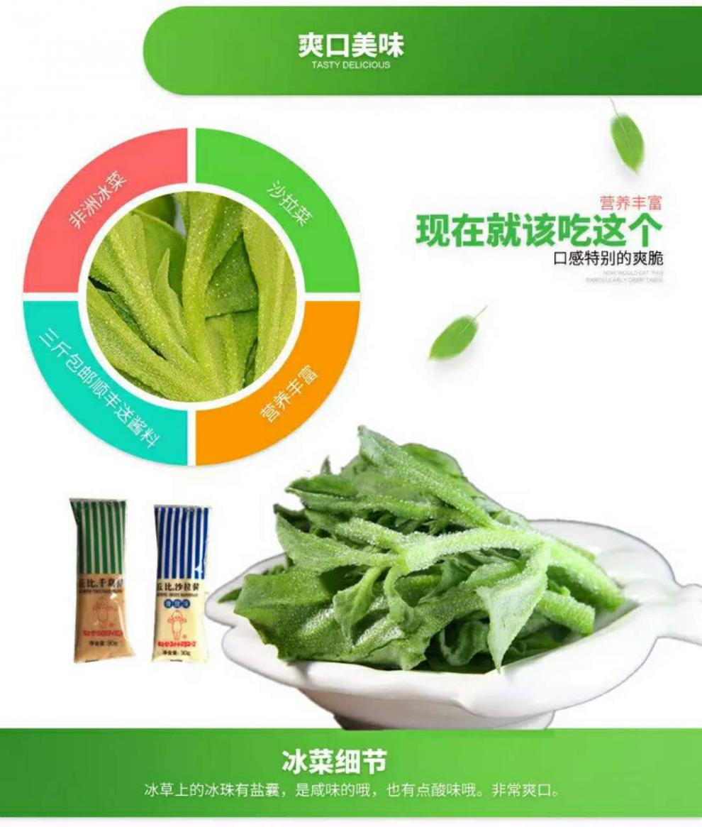 新鲜非洲冰草冰菜冰叶沙拉菜叶菜四斤冰草酱