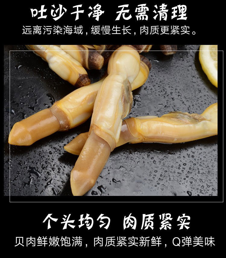蛏子肉现剥圣干竹蛏子海鲜水产速冻海捕超特大蛏子新鲜蛏子王净重1斤