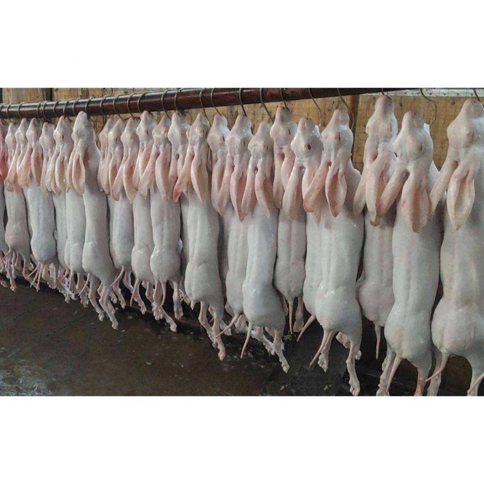兔肉新鲜烫皮兔现杀带皮兔子肉活兔现杀整只3斤8斤冷冻顺丰广纳力驰带